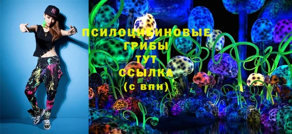 spice Алзамай
