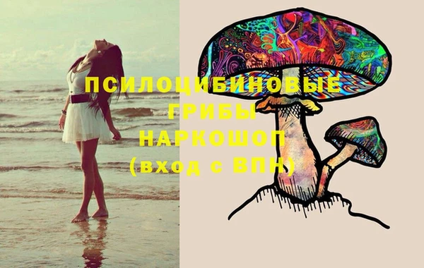 spice Алзамай